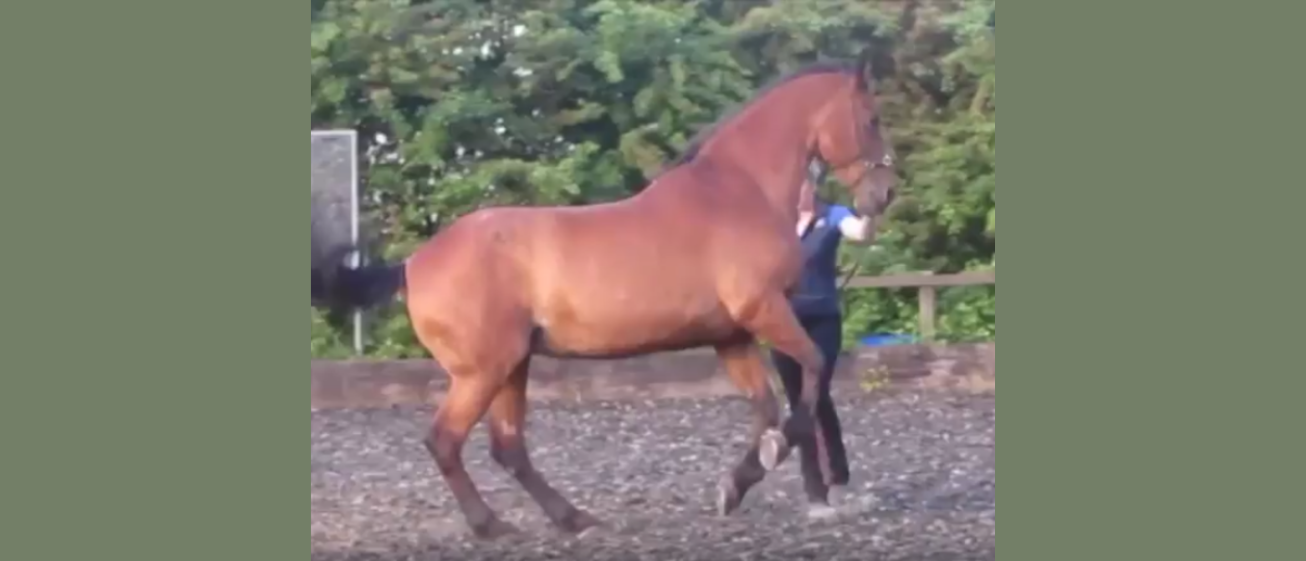 Rebecca & Milly | Groundwork Grade 4 Journey