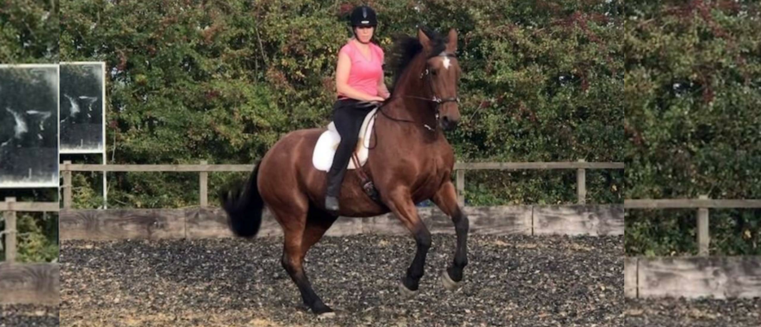 Rebecca & Milly Preparing For The Riding Grade 4 Touchstone