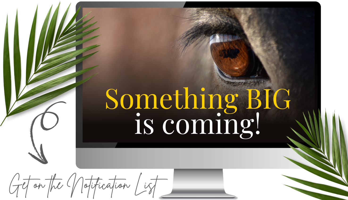 Something BIG is coming