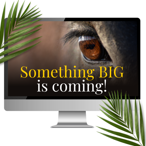 Something BIG is coming