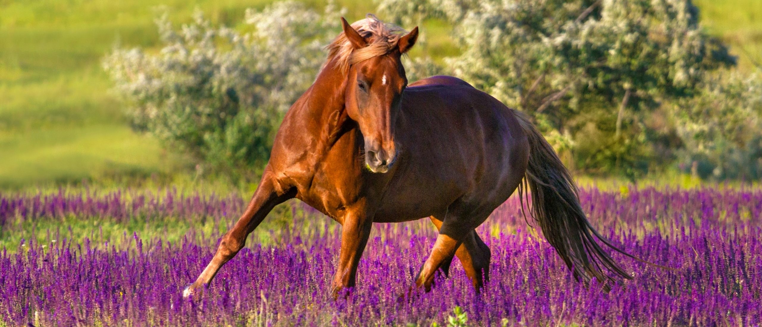 3 Ways to Improve Your Lateral Work