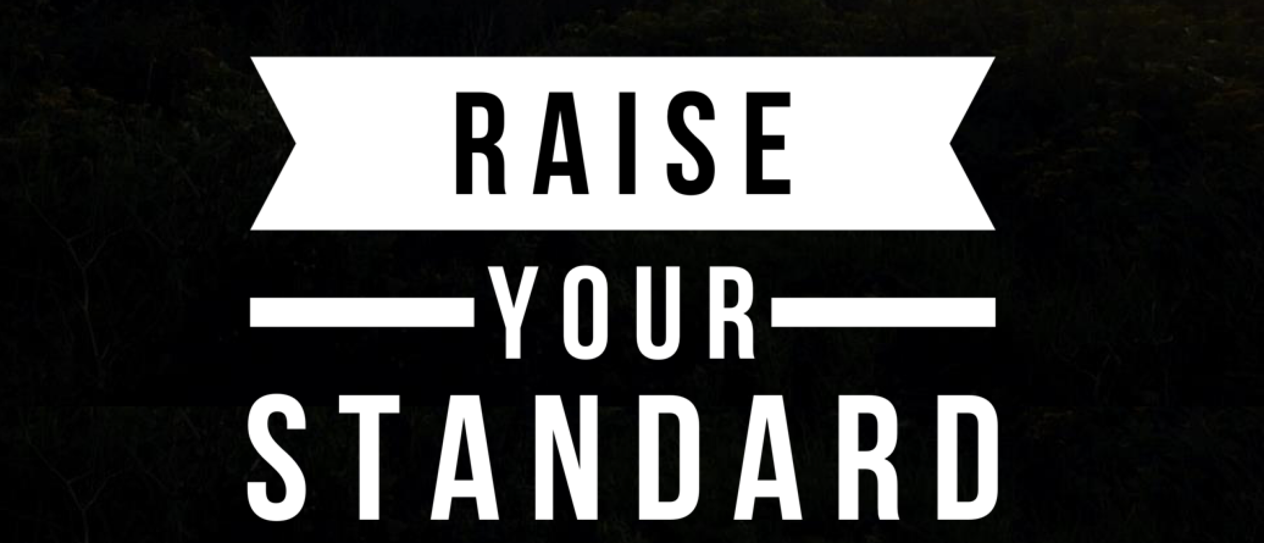 Raise Your Standard