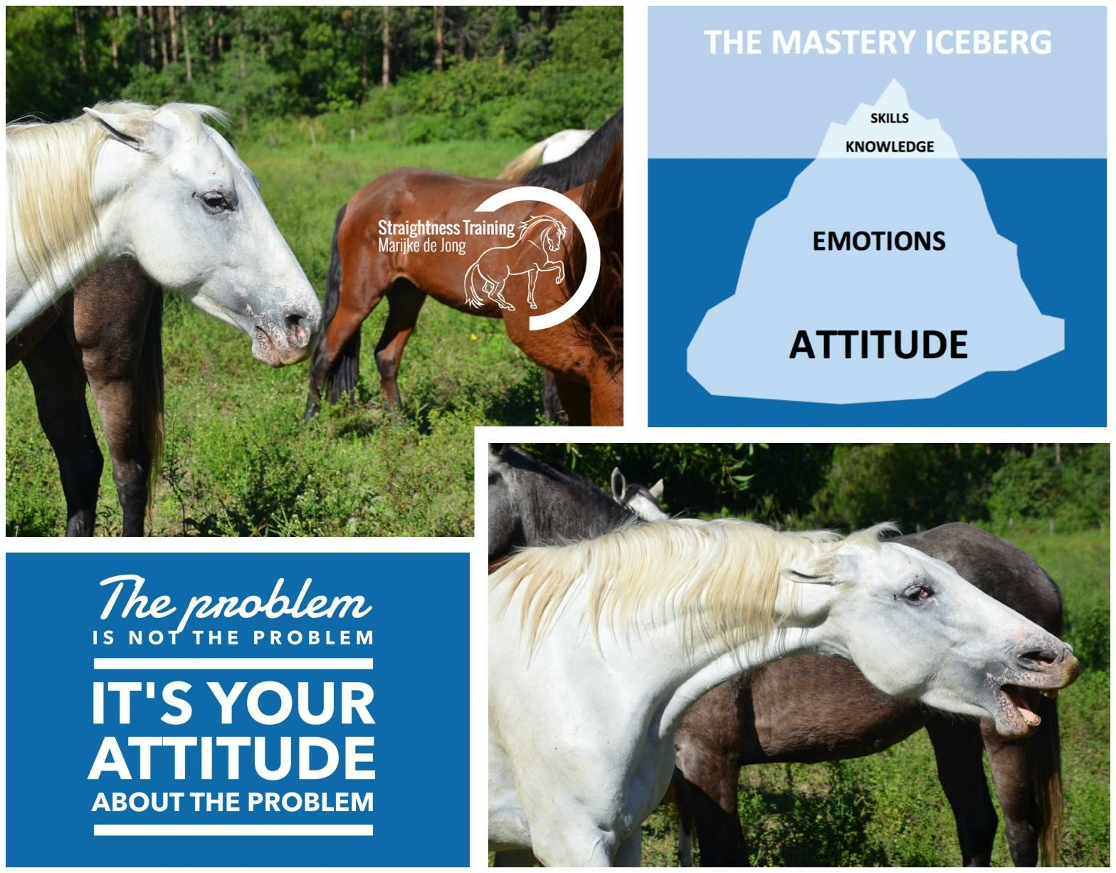 The Mastery Iceberg—Freeze Your Ice