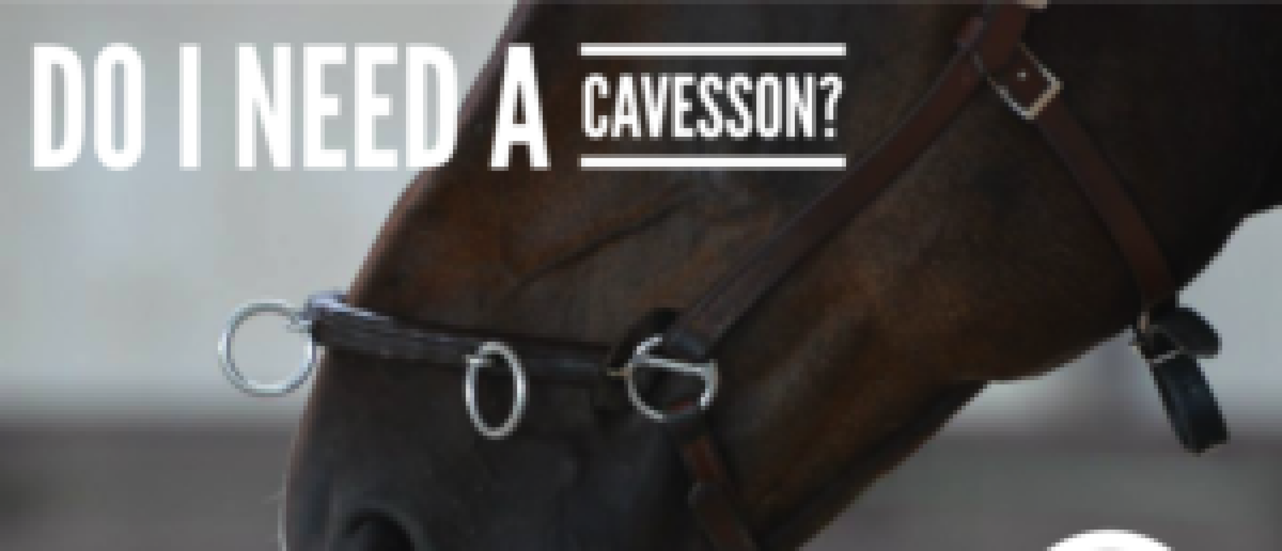 Do I need a Cavesson?