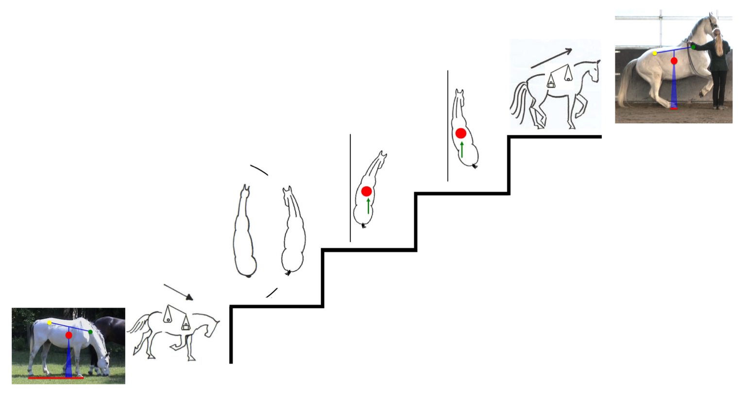 Straightness Training