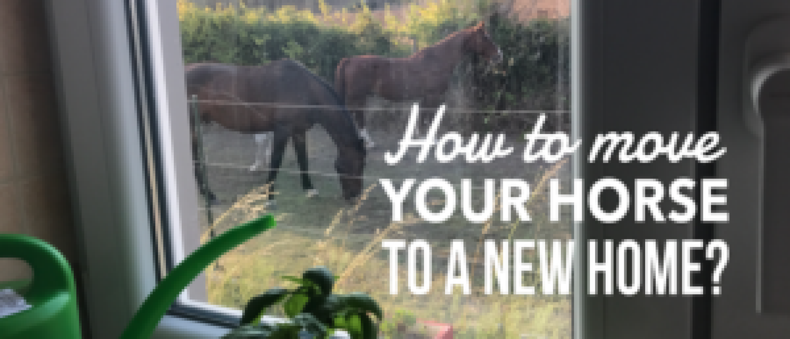 Checklist: How To Move Your Horse To A New Home?
