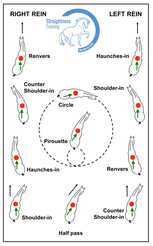 lateral movement exercises