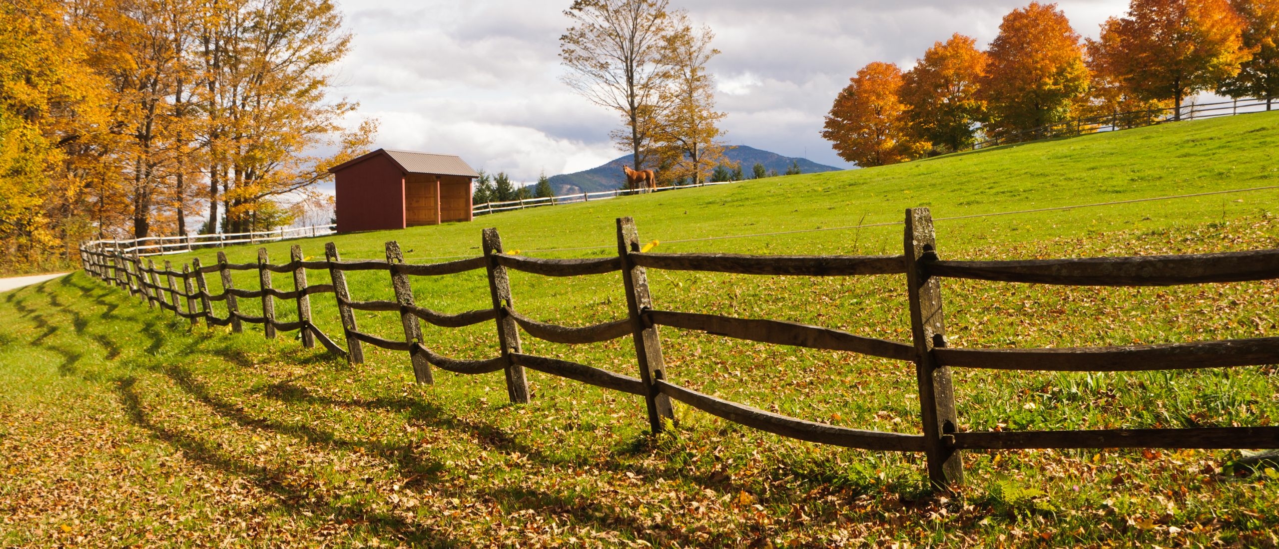 Pastures vs Stalls