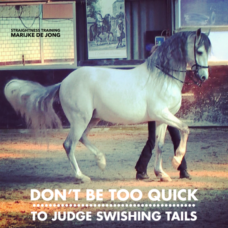 Why do horses swish or wring or use their tails? With and without