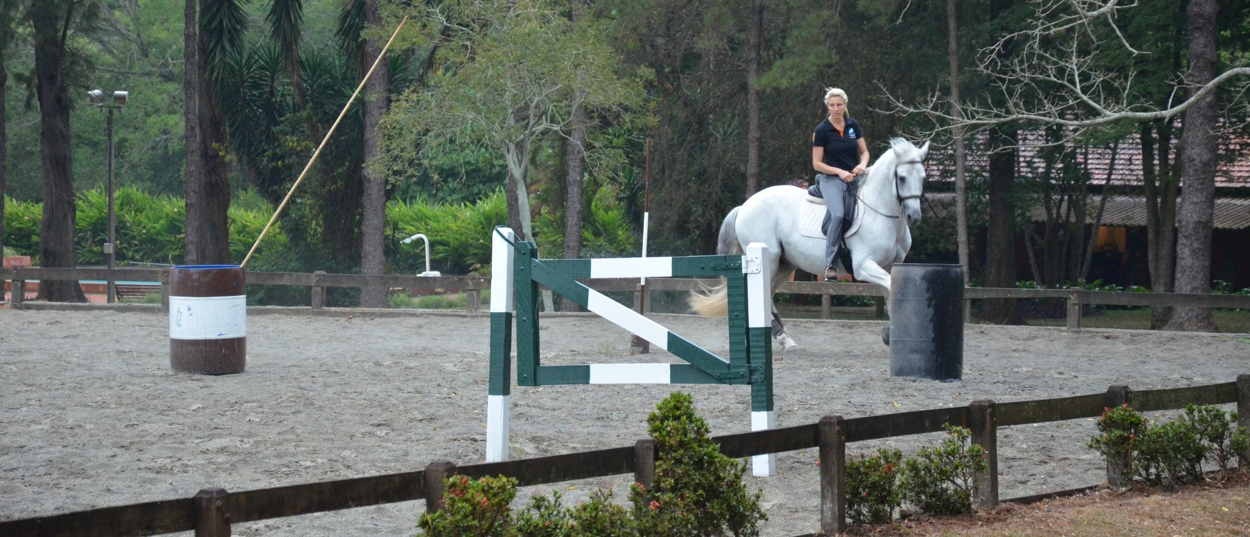 Working Equitation for the first time