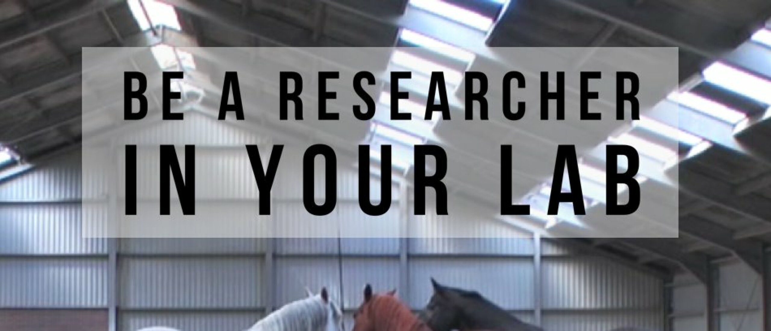 Be a researcher in your lab
