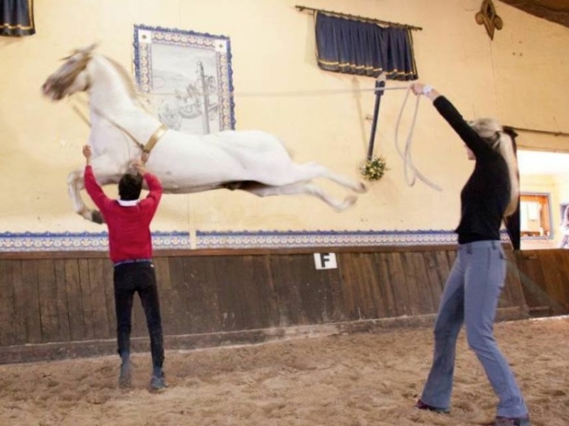 Straightness Training