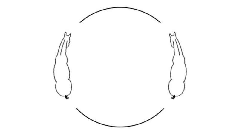 Circle