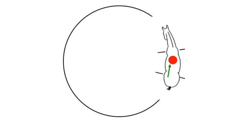 Circles, yes or no?