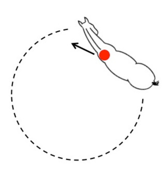 Circles, yes or no?