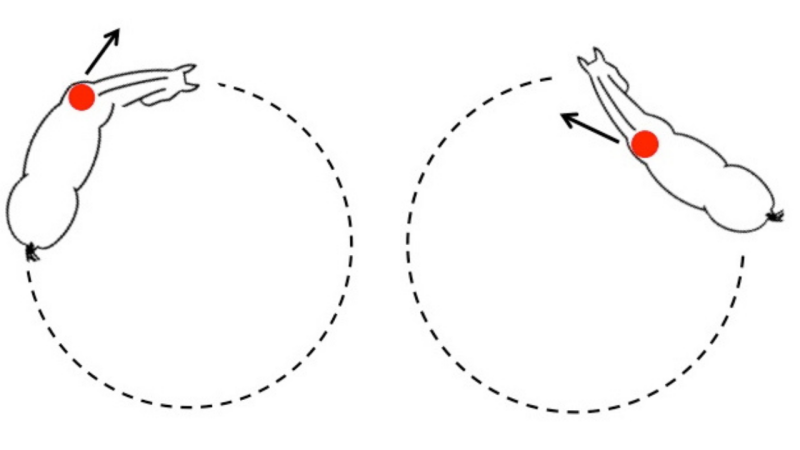 Circles, yes or no?