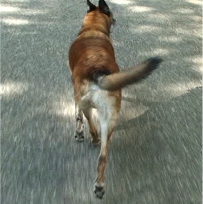 natural asymmetry natural asymmetry