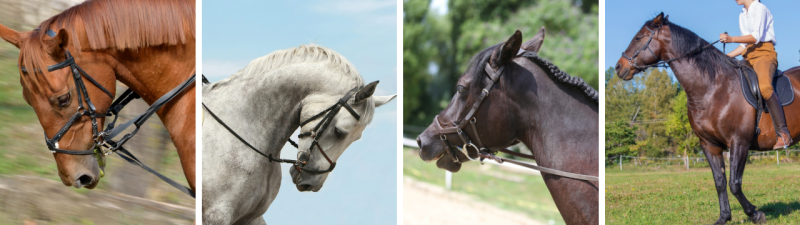 goal alienated riding