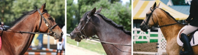 topline imbalance
