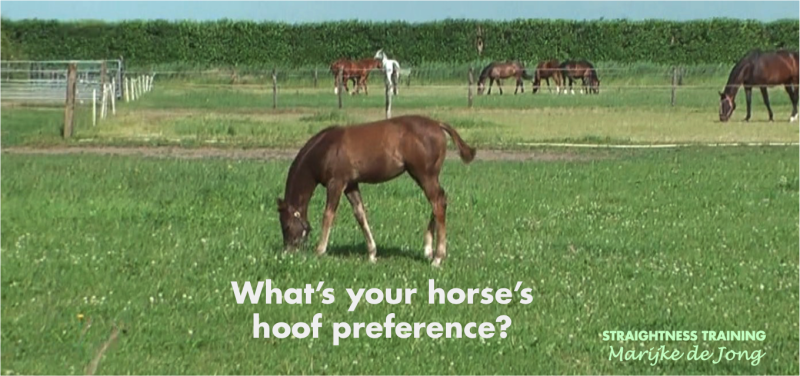 front legs hoof preference