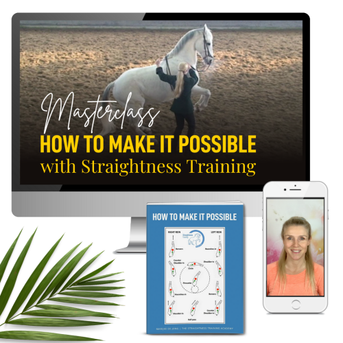 straightness training masterclass