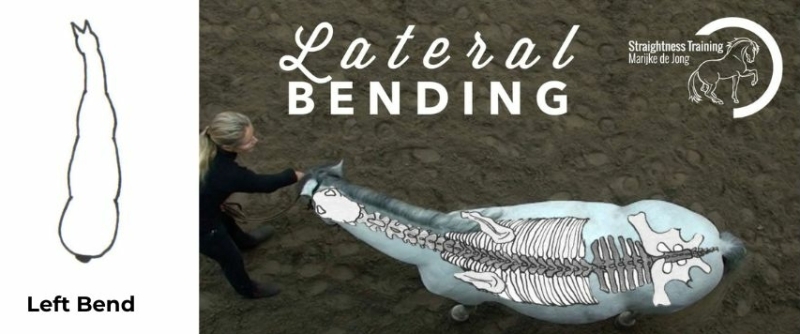 lateral bending lateral bending