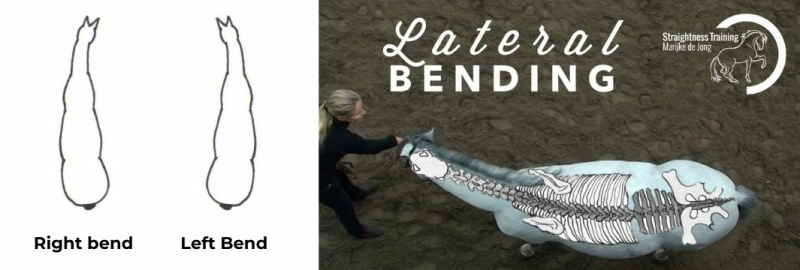lateral bending