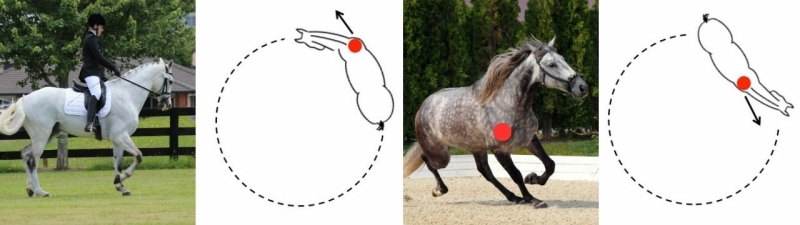 left bended horse