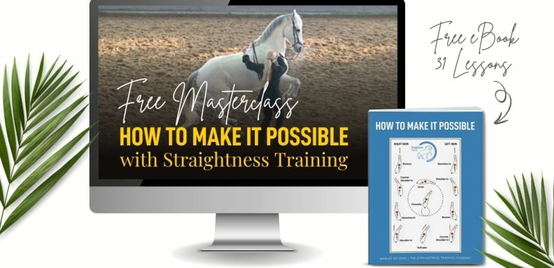 Maestro's 31 lessons Maestro's 31 lessons Straightness Training
