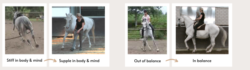 Natural Asymmetry and Straigntess Training