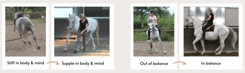 Maestro out of balance vs in balance Natural Asymmetry and Straigntess Training