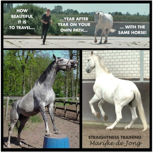 your own path the same horse