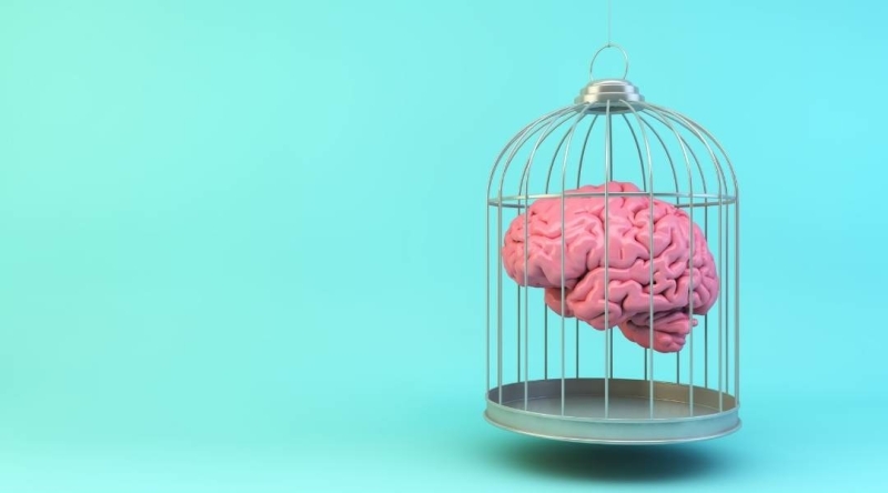 brain in prison