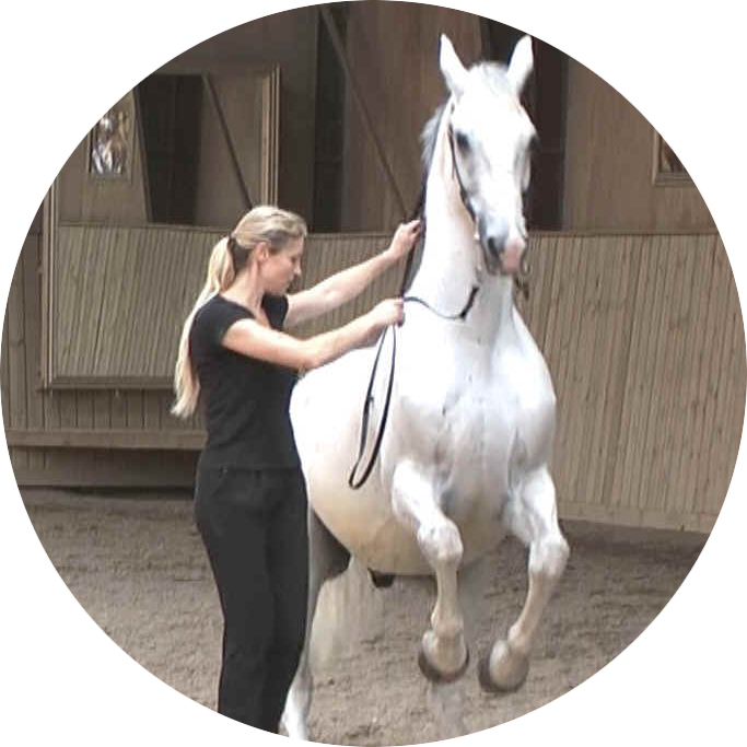 Maestro's legacy gift