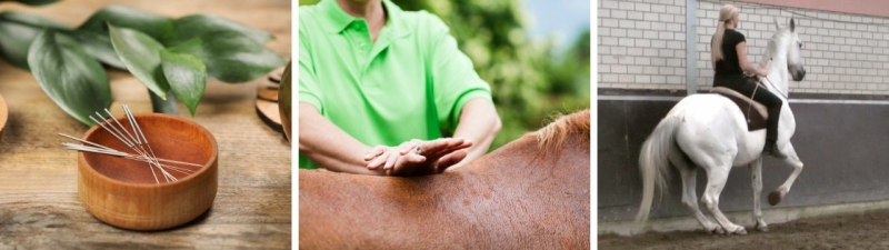 Movement therapy Straightness Training: Movement Therapy