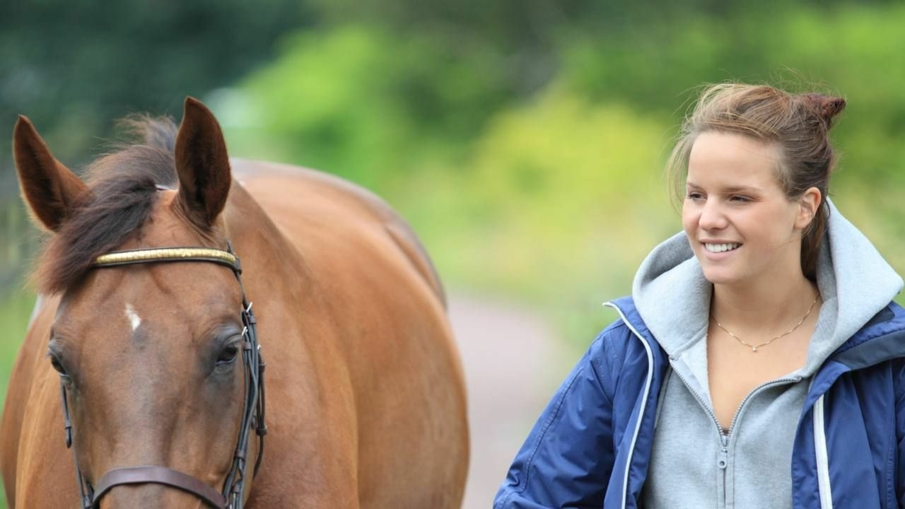 Natural Asymmetry in horse