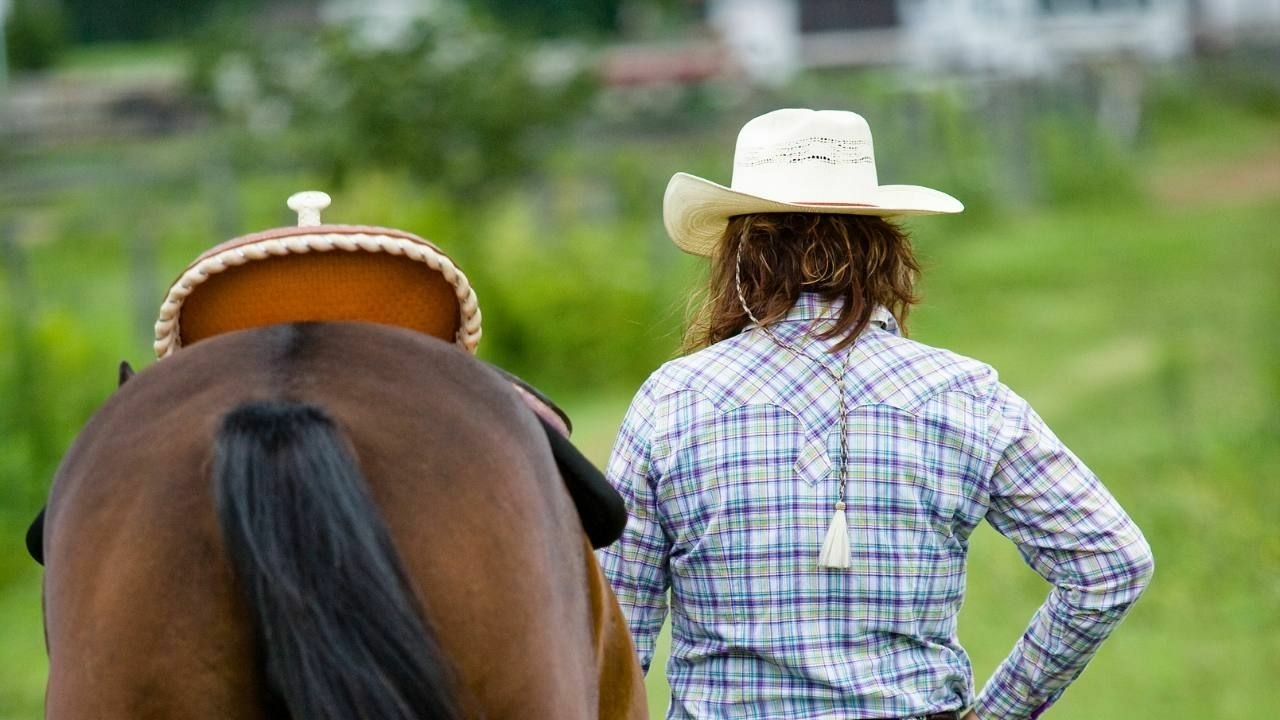 Natural Asymmetry in horse
