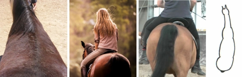 saddle shift