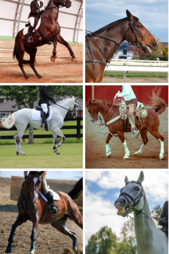 Fighting the symptoms