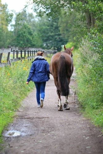 You can't get it done