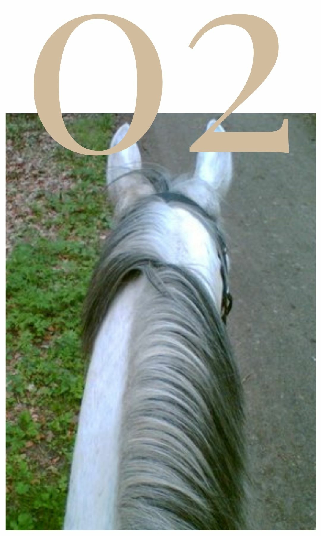 Straightness Training