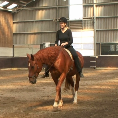 A rider riding with a cavesson and bareback pad only