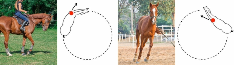 lateral bending