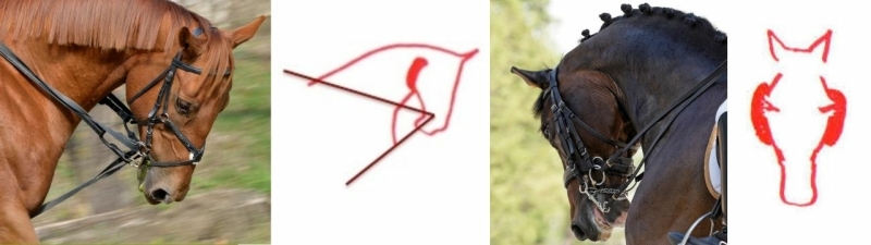 topline imbalance