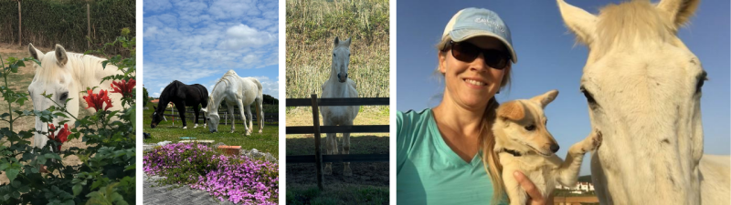 soul mate Maestro soul mate Maestro