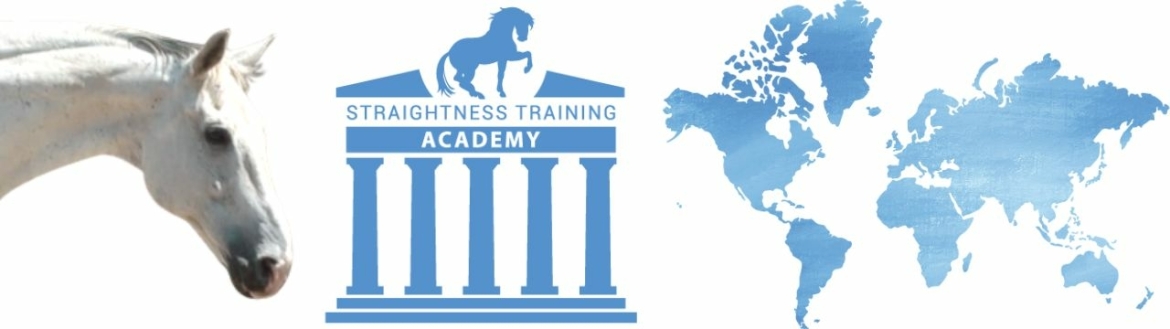 Straightness Training Academy
