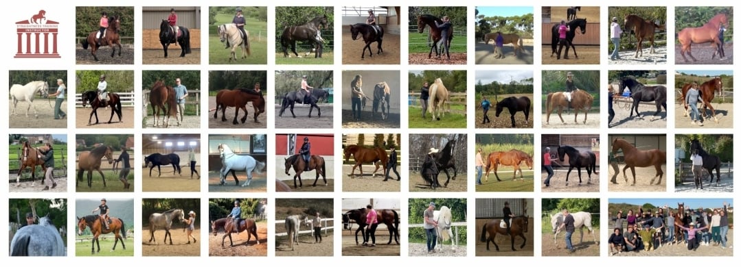 Real Transformations