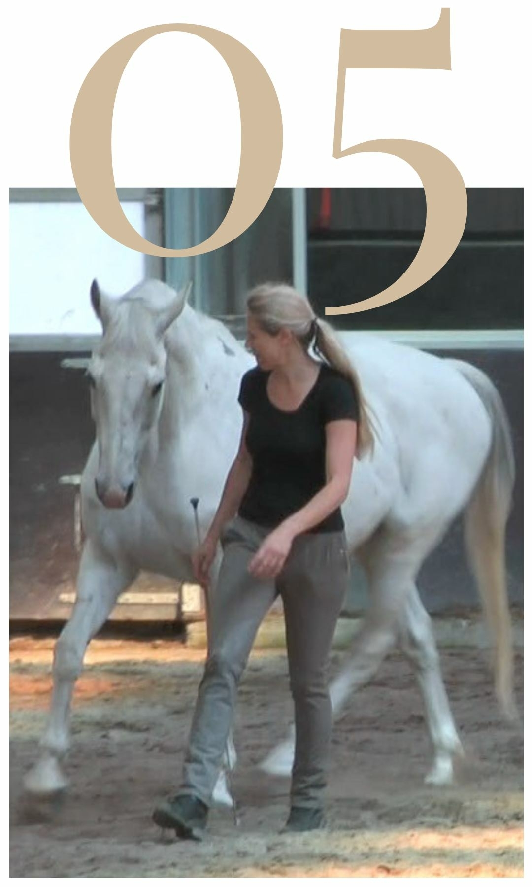 Five Training Pillars