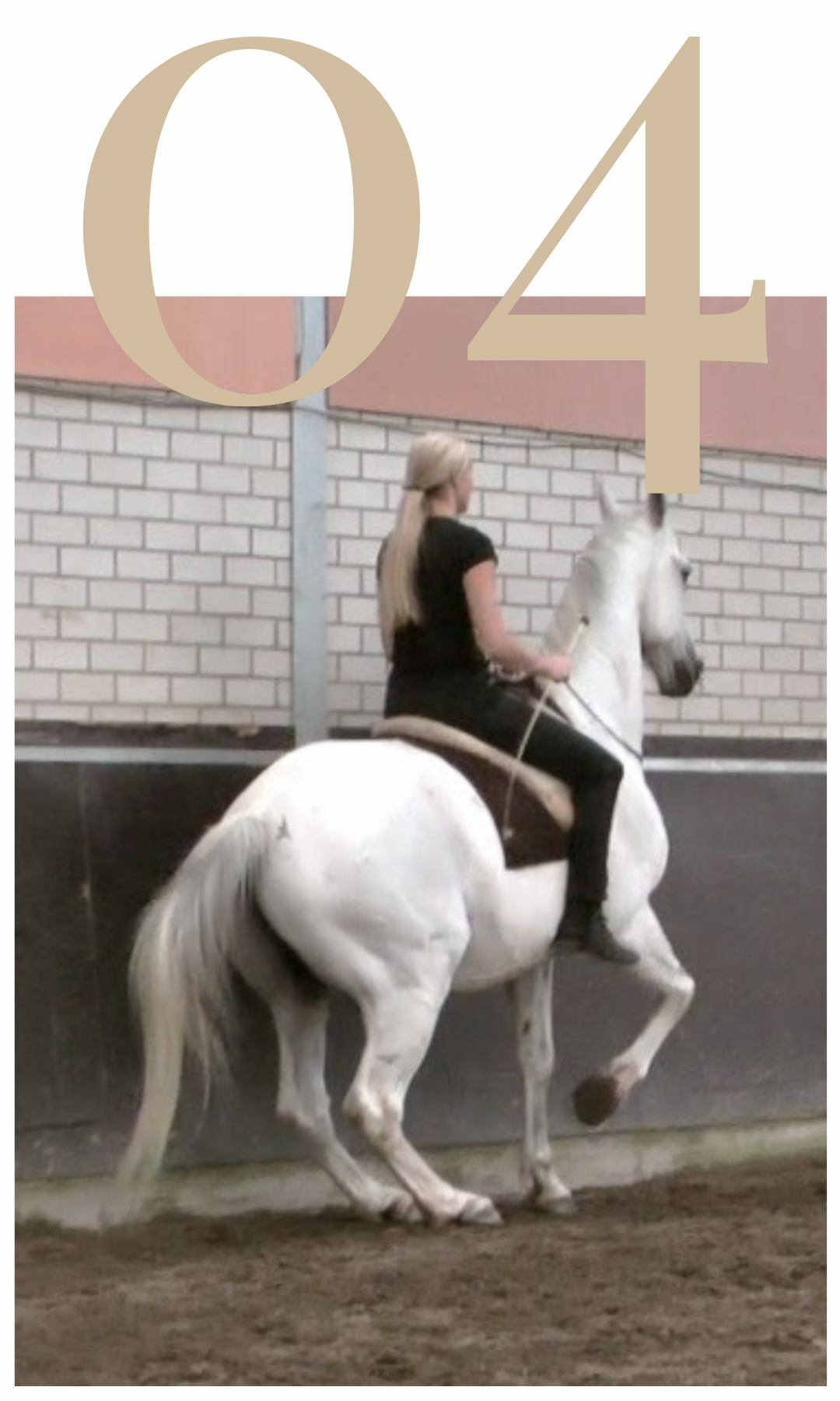 Five Training Pillars