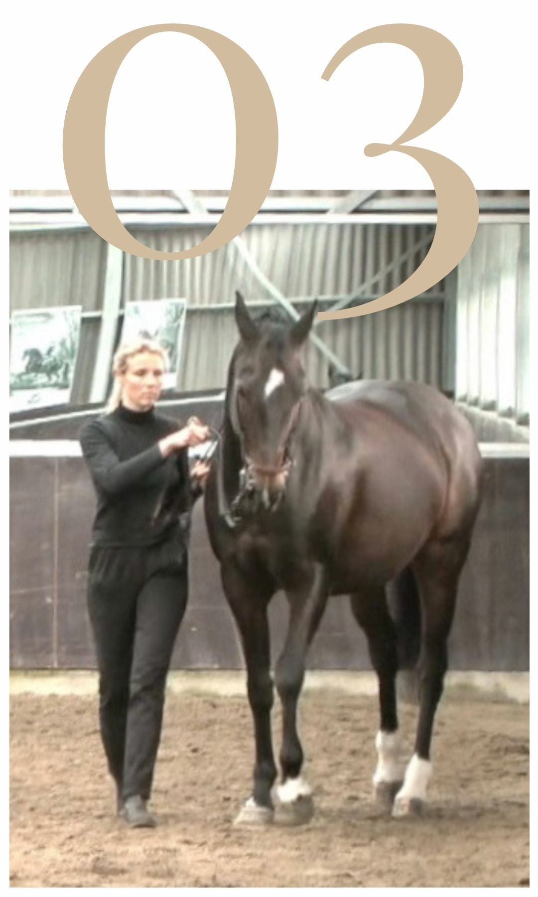 Five Training Pillars